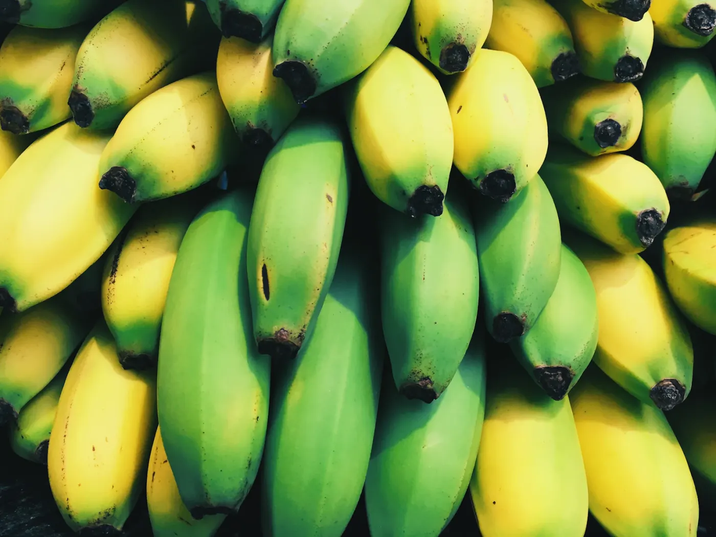 Green bread bananas, also known as plantain-style cooking bananas, in a pile
